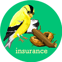 insurance_v1
