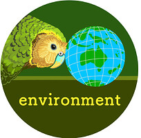 environment_v1
